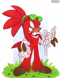 Size: 2808x3600 | Tagged: safe, artist:dirtyteethkoi, artist:dirtyteeths, knuckles the echidna, bandage, grass, hair up, redesign, solo