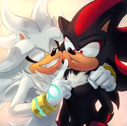 Size: 2127x2114 | Tagged: dead source, safe, artist:beadichnoa, shadow the hedgehog, silver the hedgehog, cheek pinch, duo, one fang