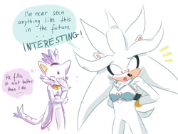 Size: 1488x1125 | Tagged: dead source, safe, artist:beadichnoa, blaze the cat, silver the hedgehog, blaze the flat, bra, dialogue, duo, featured image