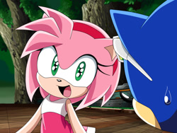 Size: 1000x750 | Tagged: safe, artist:y-firestar, amy rose, sonic the hedgehog, blue fur, dress, fake screenshot, green eyes, happy, mouth open, peach fur, pink fur, sonic riders, sonic x style, sparkling eyes, splash canyon, sunglasses, sweatdrop