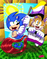 Size: 2400x3000 | Tagged: safe, artist:hedgehoghogvampir1, miles "tails" prower, sonic the hedgehog, green hill zone, asexual pride, flag, flying, nonbinary pride, running, signature, spinning tails