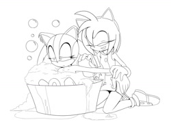 Size: 1300x928 | Tagged: safe, artist:kojiro-brushard, amy rose, sticks the badger, bathing, brushie, sticks is not amused, unamused