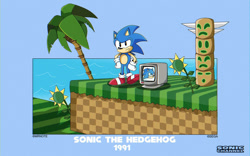 Size: 1280x800 | Tagged: safe, artist:mrnotesilence, sonic the hedgehog, sonic the hedgehog (1991), monitor, ocean, palm tree, sunflower, totem pole