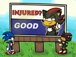 Size: 1280x960 | Tagged: safe, artist:thebluestargal, shadow the hedgehog, sonic the hedgehog, billboard, facepalm, featured image, meme