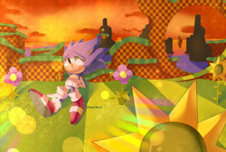 Size: 1920x1287 | Tagged: safe, artist:chunichichuni, sonic the hedgehog, green hill zone, loop, sunflower, sunset, waterfall