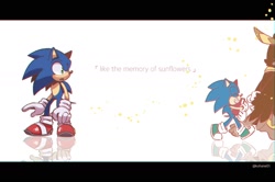 Size: 1684x1120 | Tagged: safe, artist:kohane01, longclaw, sonic the hedgehog, book