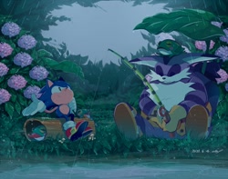 Size: 1000x789 | Tagged: safe, artist:aimf0324, big the cat, froggy, sonic the hedgehog, bigabetes, fishing, fishing pole, rain