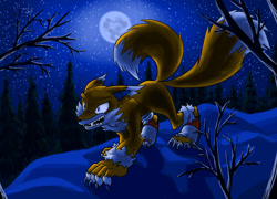 Size: 1280x922 | Tagged: safe, artist:elynthie, miles "tails" prower, sonic unleashed, all fours, evil, nighttime, outdoors, solo, tails the werefox, were form, werefox