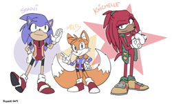 Size: 500x302 | Tagged: source needed, safe, artist:alomoria, knuckles the echidna, miles "tails" prower, sonic the hedgehog, abstract background, character name, gender swap, signature, smile, standing, team sonic, trio, v sign