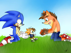 Size: 2048x1536 | Tagged: safe, artist:idalyaoisonic1344, sonic the hedgehog, oc, oc:carly bandihog, hedgehog, hybrid, bandana, bandicoot, bandihog, crash bandicoot, crossover, fankid, father and daughter, fingerless gloves, gay, grass, looking at them, magical gay spawn, parent and child, parent:crash, parent:sonic, parents:soncrash