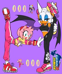 Size: 1073x1280 | Tagged: safe, artist:3mia_hadi3, amy rose, rouge the bat, duo, rings, sonic riders, stretching