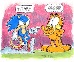 Size: 4096x3398 | Tagged: safe, artist:garybarkerart, sonic the hedgehog, crossover, duo, garfield, ring