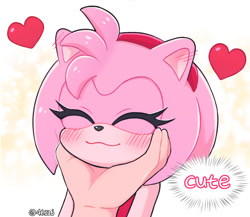 Size: 1463x1271 | Tagged: safe, artist:4622j, amy rose, duo