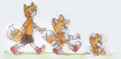 Size: 900x440 | Tagged: artist needed, source needed, safe, miles "tails" prower, chao, fox, human, evolution, grass, humanized, looking ahead, looking up, mouth open, partially humanized, tails chao, trio, walking