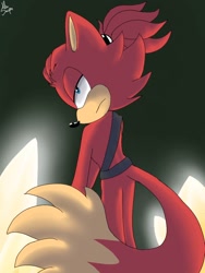 Size: 768x1024 | Tagged: safe, artist:alusniper, gadget the wolf, infinite the jackal, hybrid, belt, fusion, fusion:gadget, fusion:infinite, green background, jackwolf, lidded eyes, simple background, solo