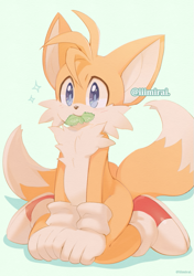 Size: 493x700 | Tagged: dead source, safe, artist:iiimirai, miles "tails" prower, fox, blue background, cute, gloves, large ears, leaf, looking offscreen, mouth hold, shoes, simple background, sitting, socks, solo, sparkles, tailabetes