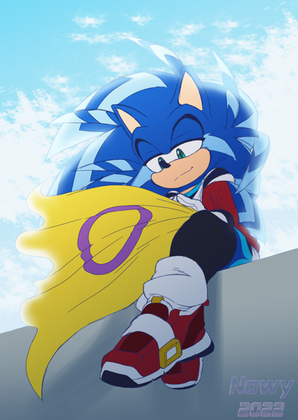 Size: 1240x1748 | Tagged: safe, artist:nowykowski, sonic the hedgehog, hedgehog, clothes, clouds, featured image, flag, intersex pride, lidded eyes, long socks, looking at something, redesign, shoes, signature, sitting, smile, socks, solo