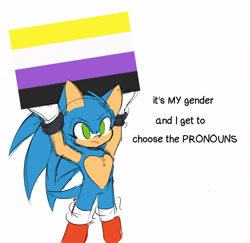 Size: 1600x1558 | Tagged: safe, artist:syrcaii, sonic the hedgehog, hedgehog, au:resonance, boots, flag, frown, gloves, holding something, looking offscreen, meme, nonbinary, nonbinary pride, redesign, simple background, sketch, socks, solo, standing, white background