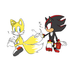 Size: 600x562 | Tagged: safe, artist:mas2a, miles "tails" prower, shadow the hedgehog, fox, hedgehog, duo, exclamation mark, fluffy, frown, gay, holding tail, japanese text, looking at them, male, males only, mouth open, shadow x tails, shipping, simple background, sitting, surprised, white background
