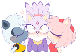 Size: 1024x718 | Tagged: safe, artist:skittikyu, amy rose, blaze the cat, cat, hedgehog, amy x blaze, amy x blaze x tangle, amybetes, blazebetes, blushing, cute, eyes closed, kiss, kiss on cheek, lesbian, love triangle, outline, shipping, shocked, simple background, tangabetes, tanglaze, transparent background, trio