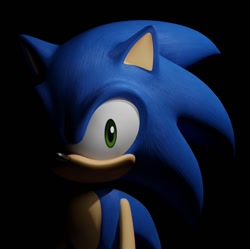 Size: 912x910 | Tagged: safe, artist:gryz, sonic the hedgehog, hedgehog, 3d, black background, could you repeat that, in shadow, looking at viewer, meme, simple background, solo