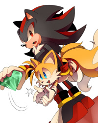 Size: 800x1000 | Tagged: safe, artist:緘咲, miles "tails" prower, shadow the hedgehog, fox, hedgehog, carrying them, chaos emerald, chest fluff, duo, gloves, holding something, looking at something, looking at viewer, male, males only, mouth open, shoes, simple background, socks, standing, sweatdrop, white background