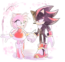 Size: 2153x2079 | Tagged: safe, artist:drawloverlala, amy rose, shadow the hedgehog, hedgehog, amy x shadow, female, male, shipping, straight