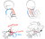 Size: 540x475 | Tagged: safe, artist:drawloverlala, sonic the hedgehog, hedgehog, art progression, clenched teeth, drawing tutorial, english text, gloves, hand out, looking at viewer, male, reaching towards the viewer, simple background, sitting, sketch, solo, tutorial, white background