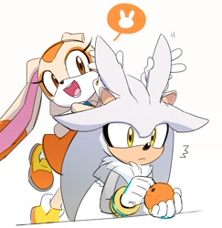 Size: 1500x1541 | Tagged: safe, artist:miiju, cream the rabbit, silver the hedgehog, duo