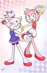 Size: 645x1002 | Tagged: safe, artist:14689644308763-997, amy rose, blaze the cat, cat, hedgehog, 2020, amy x blaze, cute, female, females only, gymnastic, gymnastic outfit, lesbian, looking at viewer, mario & sonic at the olympic games, shipping