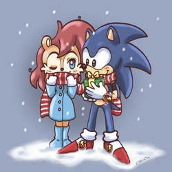 Size: 2000x2000 | Tagged: safe, artist:donkeyinthemiddle, sally acorn, sonic the hedgehog, sally x sonic, scarf, shipping, straight