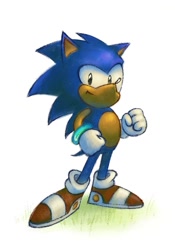 Size: 699x1000 | Tagged: safe, artist:lieber sheila, sonic the hedgehog, hedgehog, blue fur, circle chest, gloves, grass, hedgehog ears, shoes