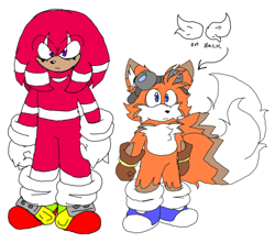 Size: 451x398 | Tagged: safe, artist:mobiusmultiverse, knuckles the echidna, miles "tails" prower, alternate universe, blue shoes, duo, flat colors, frown, goggles, goggles on head, simple background, standing, white background