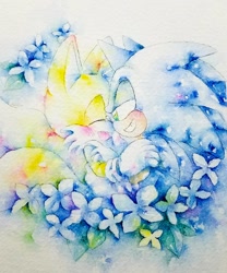 Size: 600x720 | Tagged: safe, artist:もい, miles "tails" prower, sonic the hedgehog, blushing, cute, duo, flower, gay, holding each other, shipping, sonic x tails, watercolor