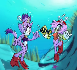 Size: 2048x1858 | Tagged: safe, artist:segaretroboi, amy rose, blaze the cat, cat, hedgehog, 2022, amy x blaze, cute, female, females only, fish, lesbian, shipping, swimsuit, underwater