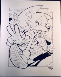 Size: 1614x2048 | Tagged: safe, artist:tracy yardley, sonic the hedgehog