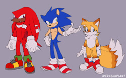 Size: 2048x1267 | Tagged: dead source, safe, artist:trashiiplant, knuckles the echidna, miles "tails" prower, sonic the hedgehog, frown, looking offscreen, male, males only, one fang, purple background, redesign, simple background, smile, standing, team sonic, top surgery scars, trans male, transgender, trio, trio male