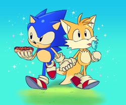 Size: 1603x1335 | Tagged: safe, artist:kuteun0, miles "tails" prower, sonic the hedgehog, abstract background, chili dog, duo, grass, holding food, holding hands, holding something, lollipop, sparkles