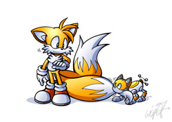 Size: 1000x710 | Tagged: safe, artist:wisp2007, miles "tails" prower, t-pup, 2015, biting, duo, genderless, looking at each other, looking at them, male, modern tails, robot, signature, simple background, smile, standing, wagging tail, white background