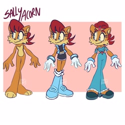 Size: 2048x2048 | Tagged: safe, artist:loopbunnysart, sally acorn, character name, sally's ringblader outfit, solo