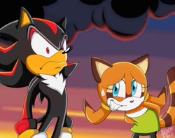 Size: 1292x1018 | Tagged: safe, artist:meggie-meg, marine the raccoon, shadow the hedgehog, 2016, abstract background, child, clenched teeth, duo, faic, fake screenshot, female, hands behind back, looking ahead, looking at them, male, meme, redraw, shadow is not amused, shrunken pupils, signature, smile, smoke, sonic x style, standing, sweatdrop, wat
