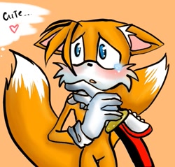 Size: 457x437 | Tagged: safe, artist:sayacat, miles "tails" prower, shadow the hedgehog, 2007, blushing, crying, duo, duo male, ear fluff, english text, floppy ears, gay, heart, holding another's arm, looking offscreen, male, offscreen character, orange background, shadow x tails, shipping, simple background, solo focus, standing, stroking, tears