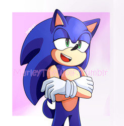 Size: 900x914 | Tagged: safe, artist:marleyla, sonic the hedgehog, 2018, abstract background, arms folded, border, lidded eyes, looking offscreen, modern sonic, mouth open, smile, solo, standing