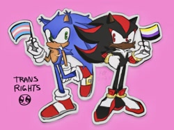 Size: 1789x1330 | Tagged: safe, artist:clowntagonist, shadow the hedgehog, sonic the hedgehog, chest fluff, duo, ear fluff, english text, flag, frown, holding something, looking at each other, nonbinary, nonbinary pride, outline, pink background, simple background, smile, standing, top surgery scars, trans male, trans pride, transgender