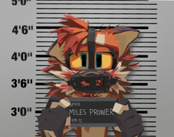 Size: 2048x1618 | Tagged: semi-grimdark, artist:tsaikonautz, miles "tails" prower, fox, abstract background, barbie mugshot meme, blood, floppy ear, holding something, lidded eyes, looking at viewer, male, meme, mugshot, redraw, solo, yellow sclera