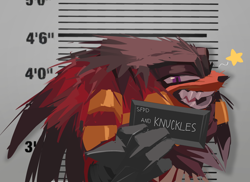 Size: 2048x1494 | Tagged: safe, artist:indigobeatss, artist:tsaikonautz, knuckles the echidna, echidna, abstract background, barbie mugshot meme, holding something, lidded eyes, looking at viewer, male, meme, mouth open, mugshot, smile, solo, star (symbol)