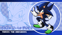 Size: 2048x1151 | Tagged: safe, artist:shadowfreak98, oc, oc:terios the hedgehog, hedgehog, character name, english text, fankid, japanese text, magical gay spawn, male, parent:shadow, parent:sonic, parents:sonadow, solo, sonic channel wallpaper style