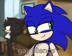 Size: 2048x1616 | Tagged: safe, artist:cha0sugar, shadow the hedgehog, sonic the hedgehog, hedgehog, abstract background, arms folded, descriptive noises, duo, english text, gay silence, indoors, lidded eyes, looking offscreen, male, males only, meme, smile, solo focus, sonabetes, standing