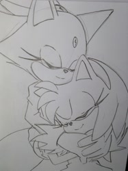 Size: 540x723 | Tagged: safe, artist:smsskullleader, amy rose, blaze the cat, cat, hedgehog, 2014, amy x blaze, amy's halterneck dress, blaze's tailcoat, cute, eyes closed, female, females only, hugging, lesbian, shipping, sketch, traditional media