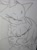Size: 540x723 | Tagged: safe, artist:smsskullleader, amy rose, blaze the cat, cat, hedgehog, 2014, amy x blaze, amy's halterneck dress, blaze's tailcoat, clothes, cute, dress, eyes closed, female, females only, hugging, lesbian, shipping, sketch, traditional media